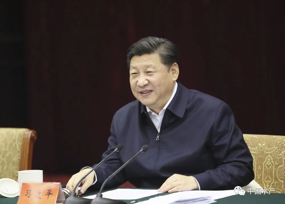 习近平的长江情怀