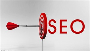 官网seo优化公司