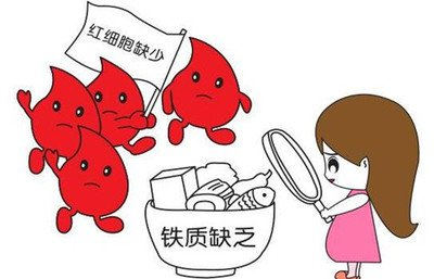 营养课堂|地中海贫血饮食禁忌 营养课堂|地中海贫血饮食禁忌