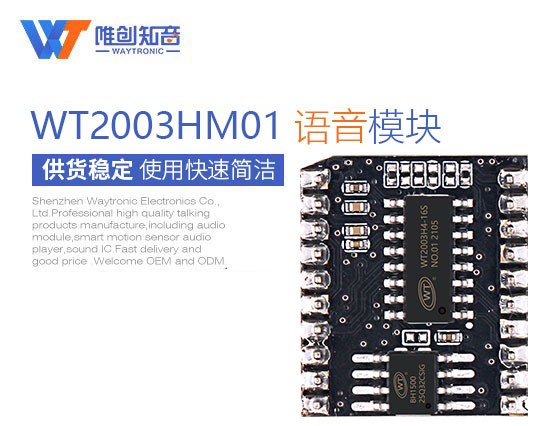 WT2003HM01高品质语音模块（模拟U盘）