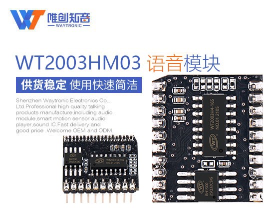 WT2003HM03语音播报模块（支持Flash、TF 卡、U 盘）