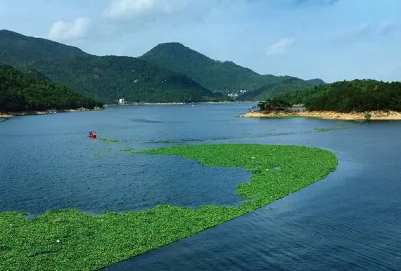生态环境部：湖北发言人说