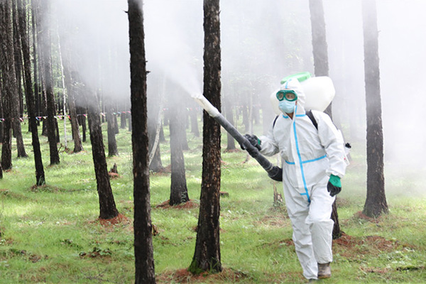 林业有害生物防治资质证书是什么?有什么作用? 林业有害生物防治资质证书是什么?有什么作用?