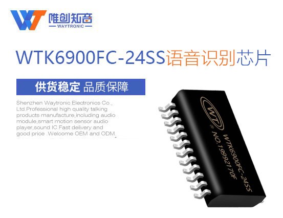 WTK6900FC-24SS语音识别芯片