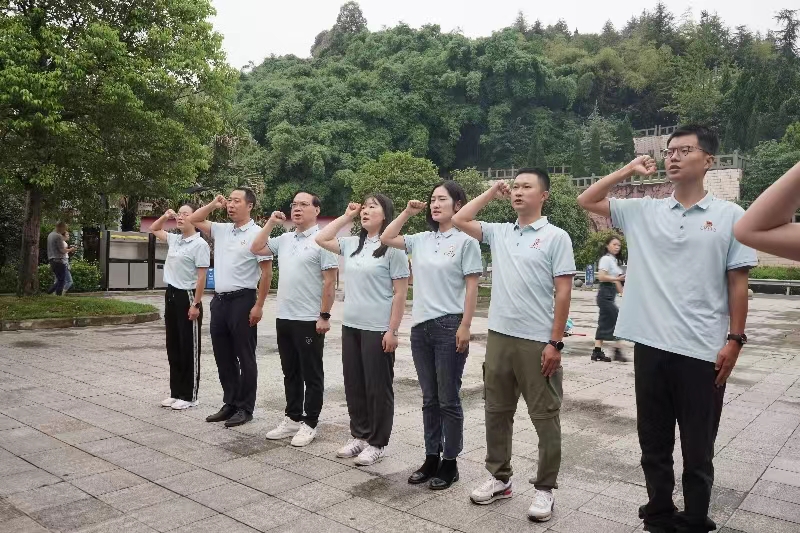 传承红色基因，坚定理想信念——记成都市温江区王府外国语学校主题党日活动
