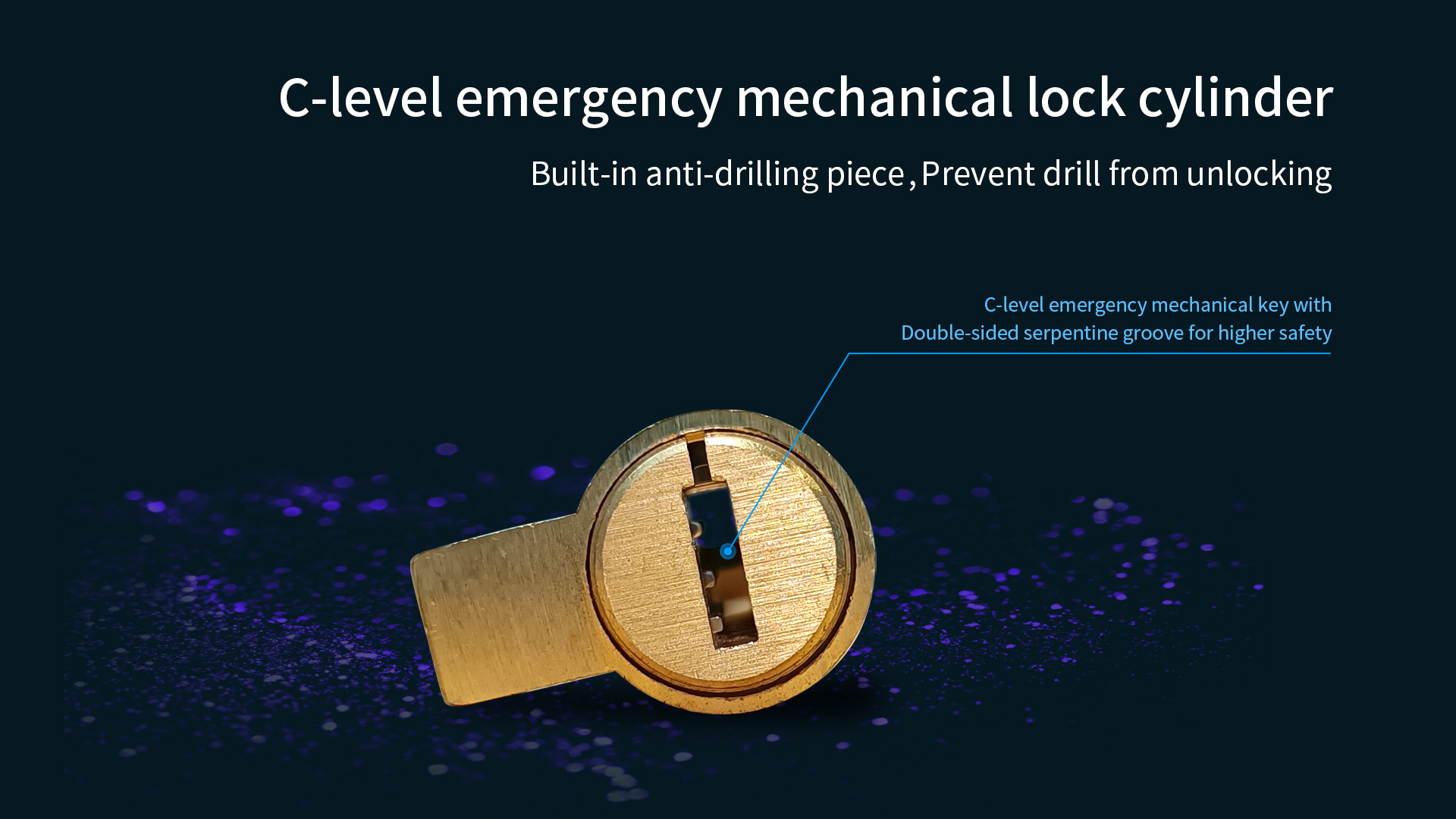 H601 Smart Doorlock