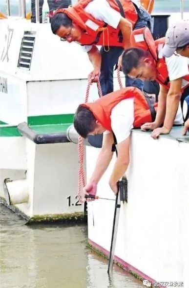 实锤！“听豚”设备证实至少10头江豚定居武汉