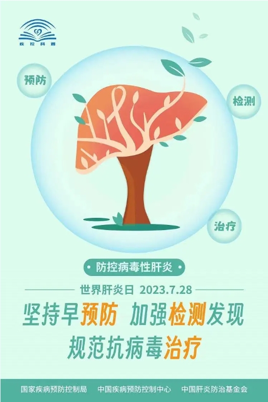 大众科普|守护健康肝脏,从你我做起~ 大众科普|守护健康肝脏,从你我做起~