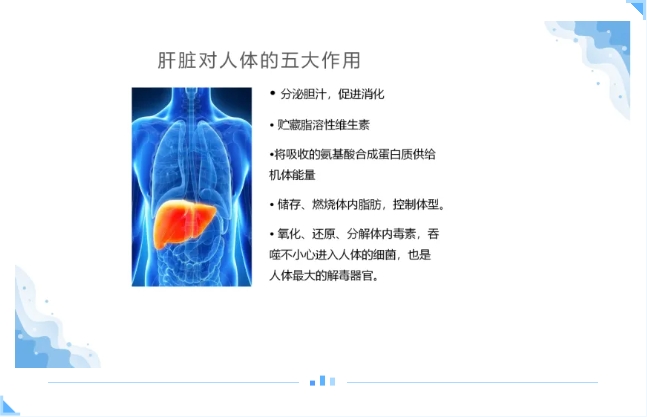 大众科普|守护健康肝脏,从你我做起~ 大众科普|守护健康肝脏,从你我做起~