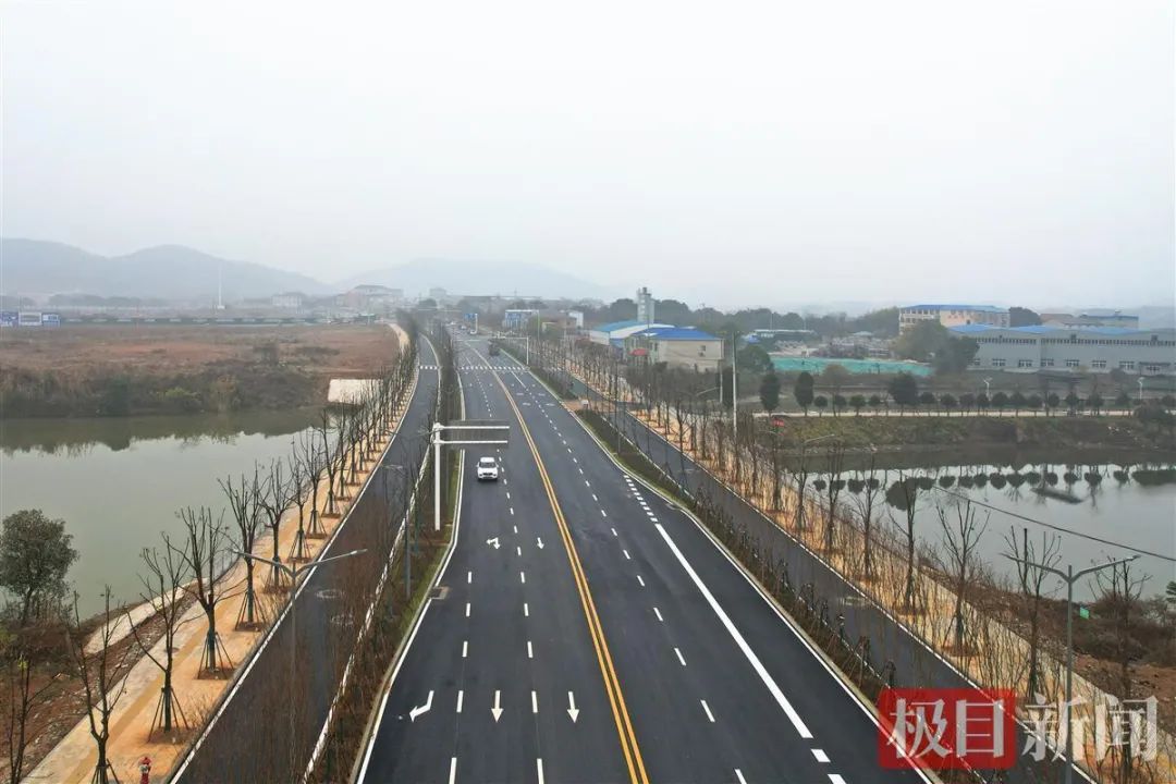 【轉(zhuǎn)自極目新聞】光谷南大健康產(chǎn)業(yè)園首條道路完工
