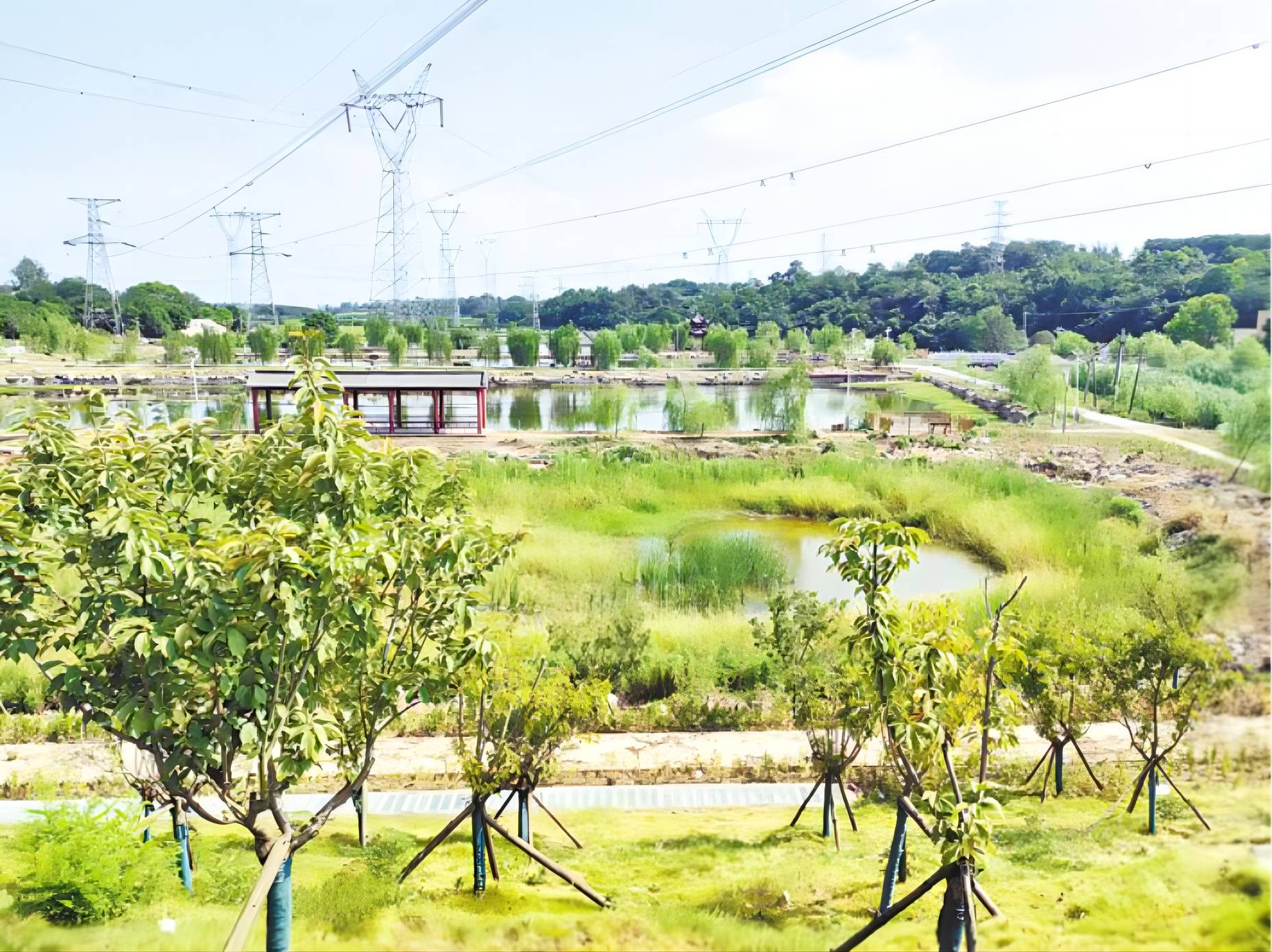 以“小河清”保障“大河净”，湖北探索小流域综合治理