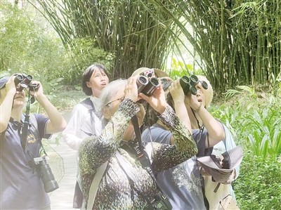 与自然约会，看见身边的鸟类邻居