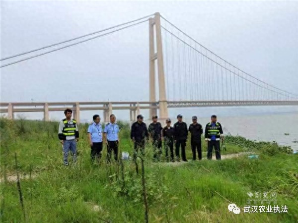 武昌区白沙洲街道：宣传监管齐发力 筑牢禁捕防线