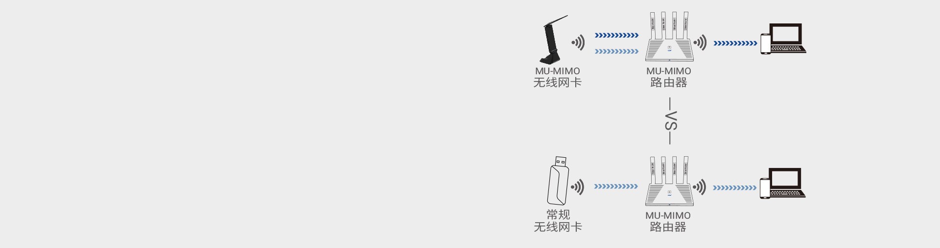Y8 版块5