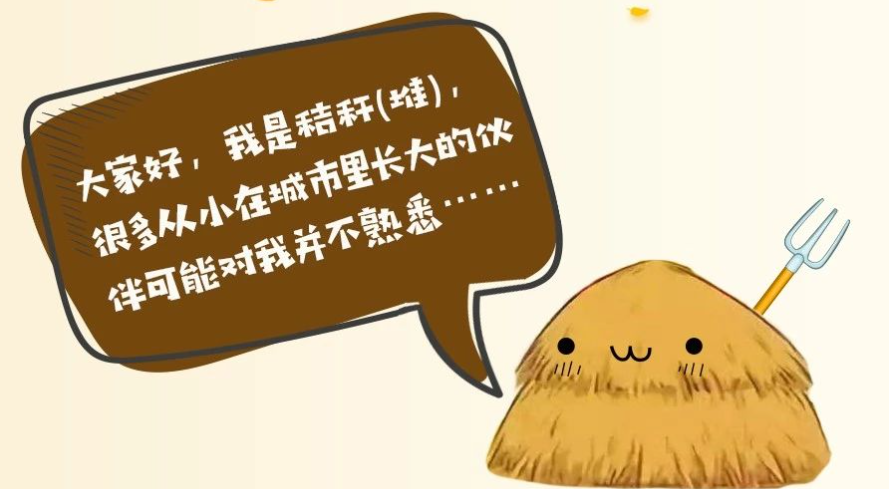 来自秸秆的自白