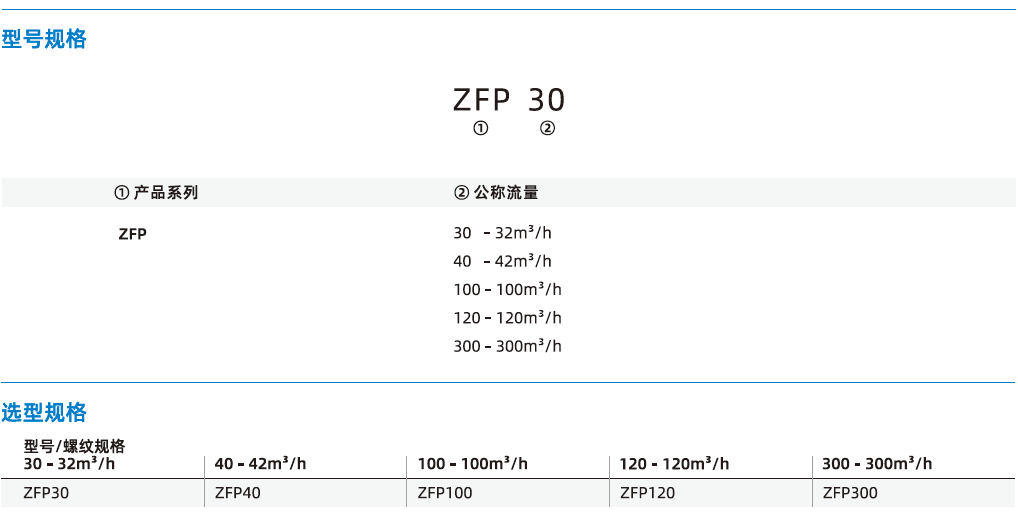 ZFP系列-大流量型真空過(guò)濾器