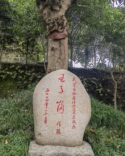 紅葉寄相思 戰(zhàn)友情意濃 紅葉寄相思 戰(zhàn)友情意濃
