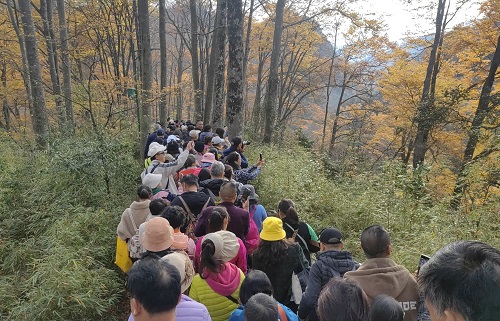 紅葉寄相思 戰(zhàn)友情意濃 紅葉寄相思 戰(zhàn)友情意濃