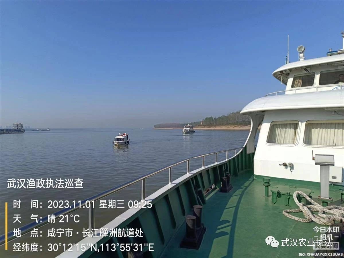 保护江豚栖息地 武咸洪三市开展联合执法巡查