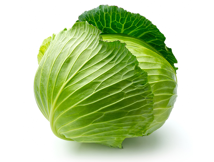 营养课堂|甲状腺功能减退日常饮食如何应对 营养课堂|甲状腺功能减退日常饮食如何应对