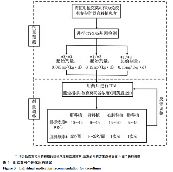 他克莫司用药指南——个性化治疗的策略解读