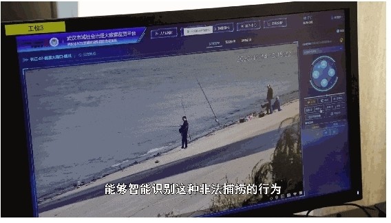 争创新时代英雄城市先锋队丨武汉市农业综合执法支队四大队党支部—— WHTV-1《长江视点》