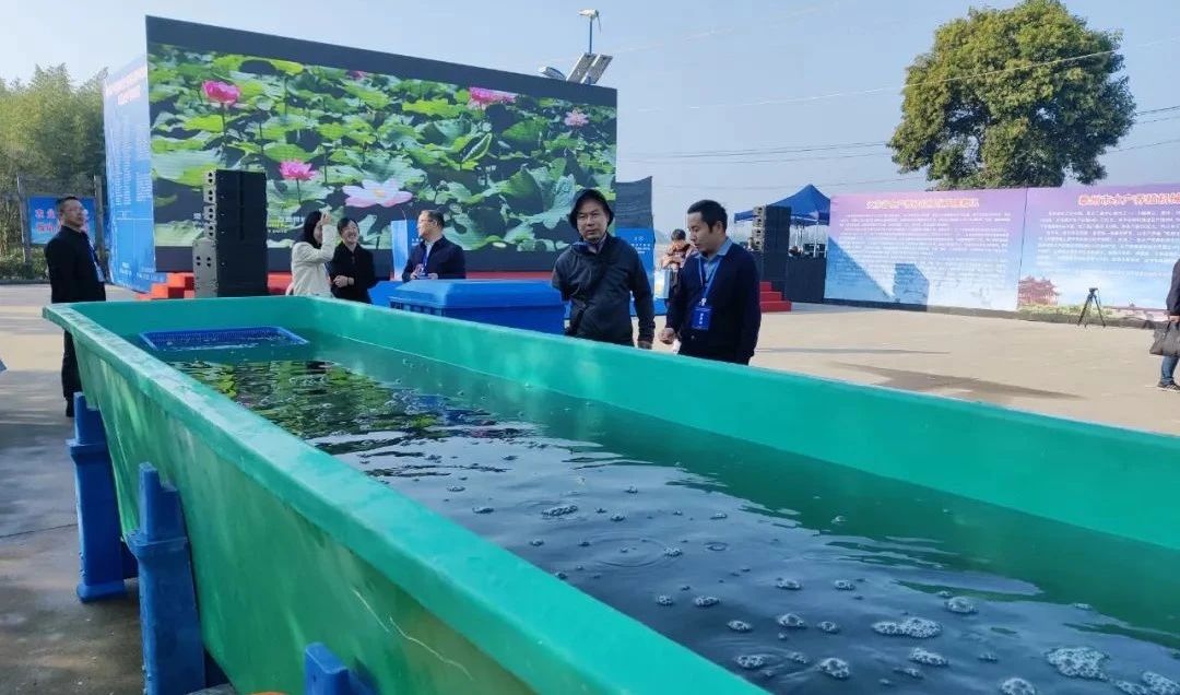 水产养殖技术先行者,上海东方渔谷入围中关村品牌工程 水产养殖技术先行者,上海东方渔谷入围中关村品牌工程