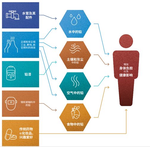 血铅检测护,预防铅中毒 | 红龙扑克生物血铅浓度快速检测解决方案 血铅检测护,预防铅中毒 | 红龙扑克生物血铅浓度快速检测解决方案