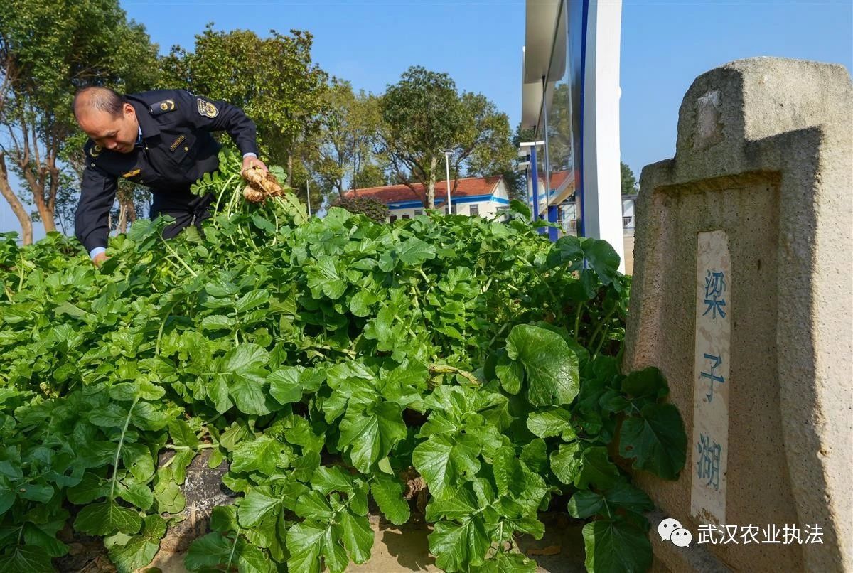 禁捕“前线”:24小时待命守护碧波鱼欢腾