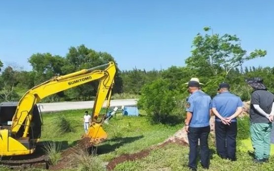 林地执法时林地和耕地冲突怎么处理