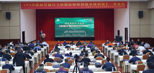 这是2023实战盛宴的收尾,也是2024崭新旅途的展望! 这是2023实战盛宴的收尾,也是2024崭新旅途的展望!