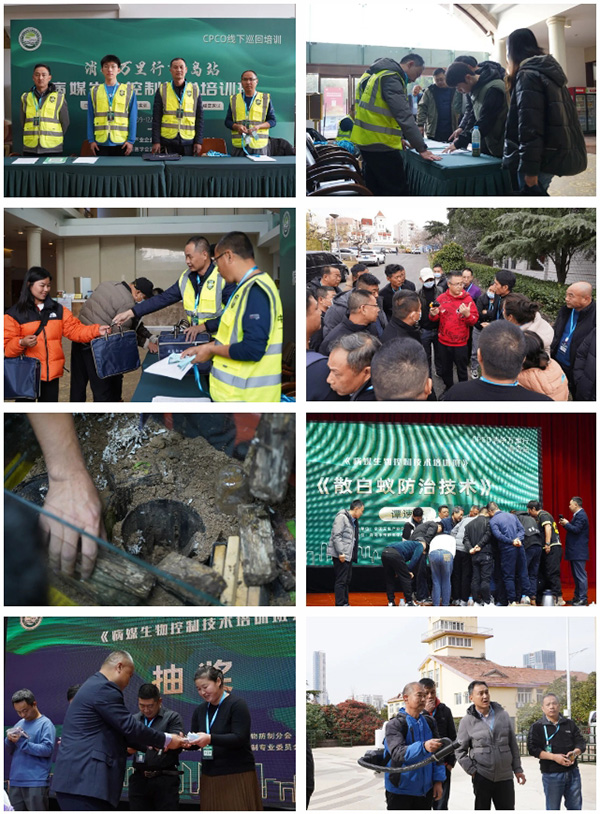 这是2023实战盛宴的收尾,也是2024崭新旅途的展望! 这是2023实战盛宴的收尾,也是2024崭新旅途的展望!