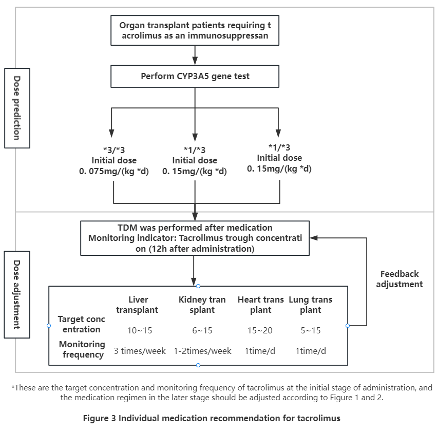 Interpretation of Tacrolimus Individualized Medication Guide