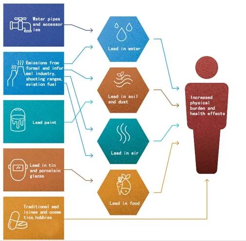 Blood lead detection to prevent lead poisoning Blood lead detection to prevent lead poisoning