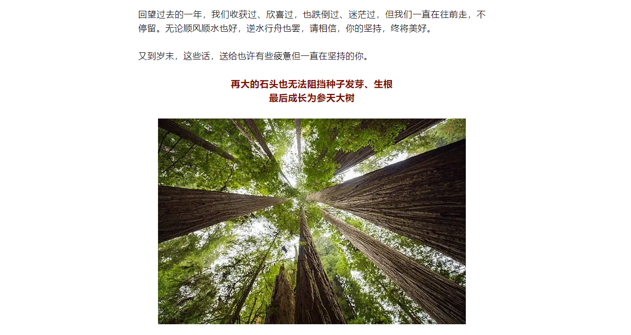 你的堅(jiān)持，終將美好