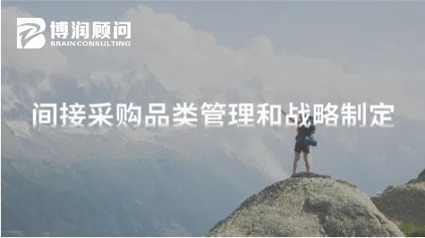 间接采购品类管理和战略制定
