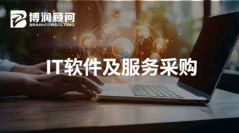 IT软件及服务采购