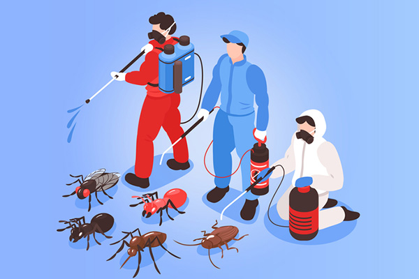 有害生物防制资质办理:常见问题与解答! 有害生物防制资质办理:常见问题与解答!