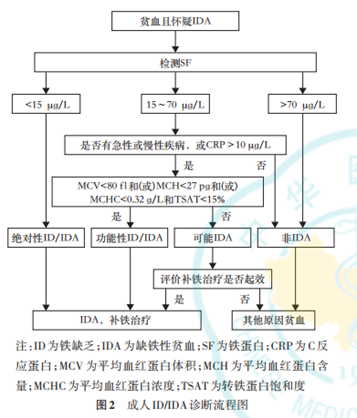 铁蛋白及维D检测——破译母婴健康密码，远离贫血困扰