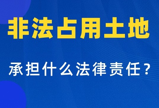 自然资源部答复：整顿临时用地乱象
