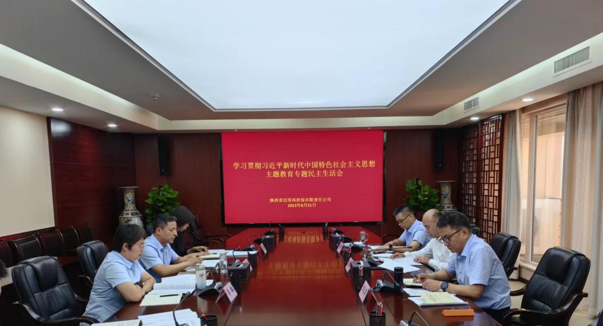 省再担保公司召开学习贯彻习近平 新时代中国特色社会主义思想主题教育专题民主生活会