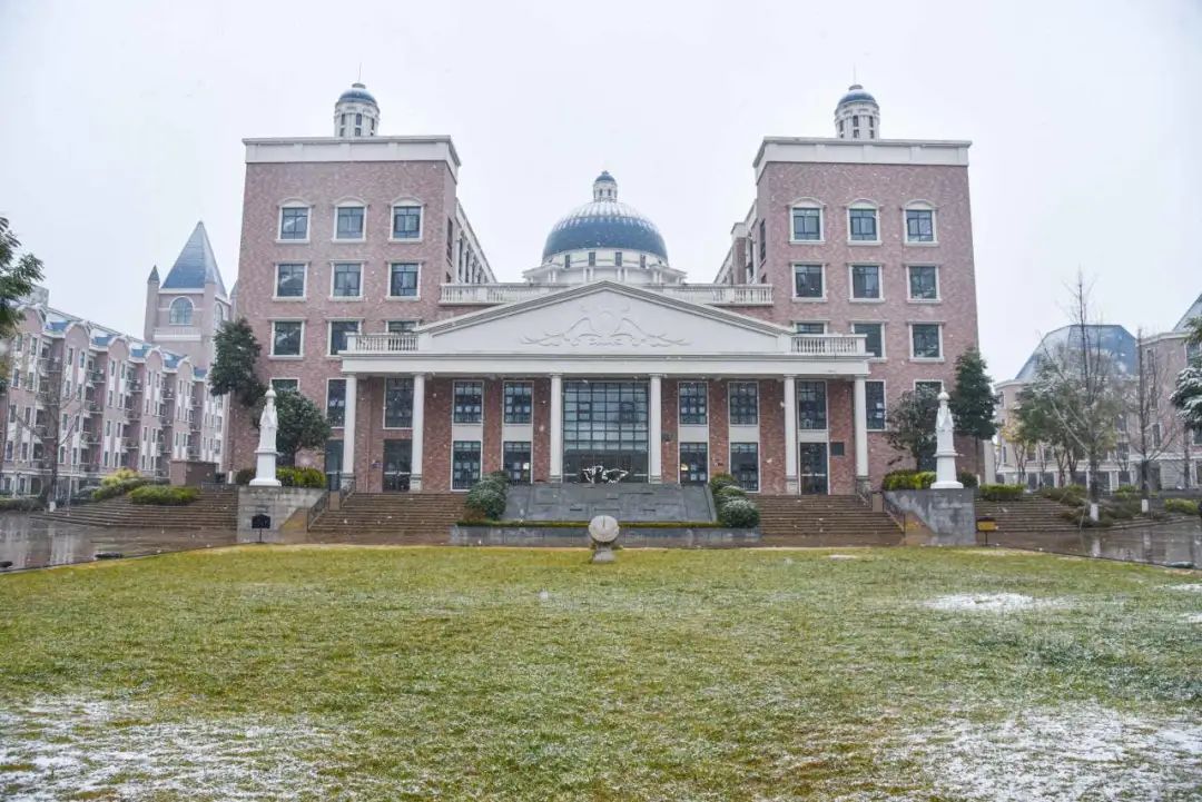 下雪啦，下雪啦！邀请朋友们欣赏新川蓝花楹校园里的雪景。 