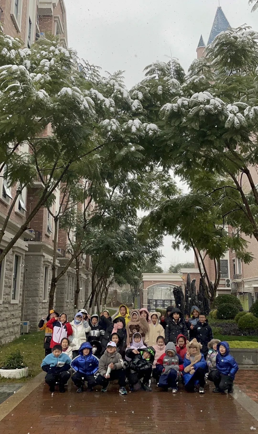 下雪啦，下雪啦！邀请朋友们欣赏新川蓝花楹校园里的雪景。 