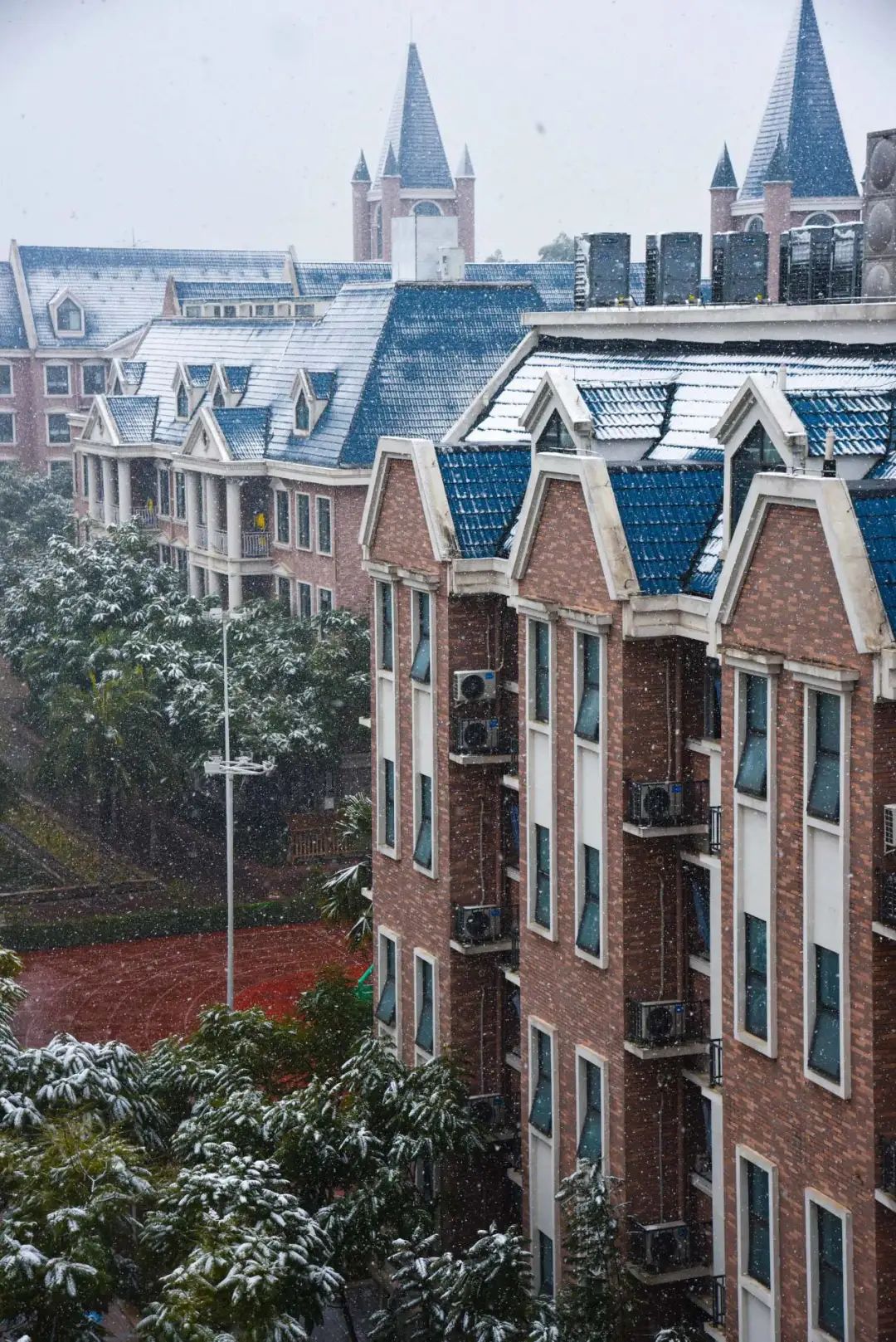 下雪啦，下雪啦！邀请朋友们欣赏新川蓝花楹校园里的雪景。 