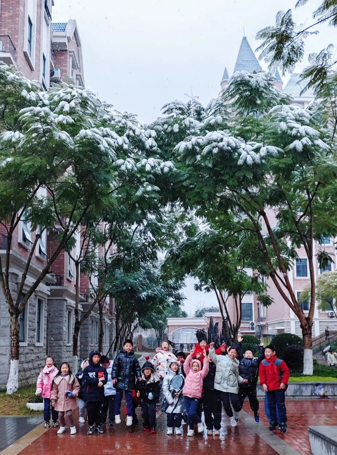 下雪啦，下雪啦！邀请朋友们欣赏新川蓝花楹校园里的雪景。 