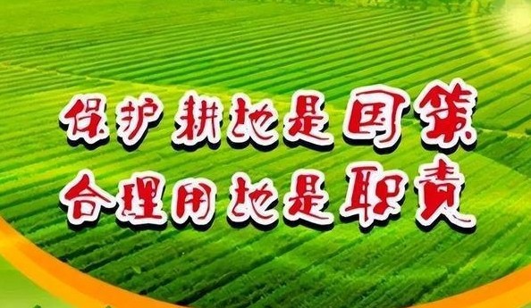 流转耕地后非法取土，从重量刑！