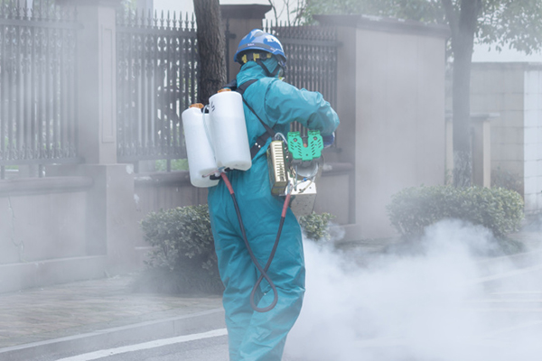 家庭除四害,这些误区你中招了吗?正确做法大全! 家庭除四害,这些误区你中招了吗?正确做法大全!