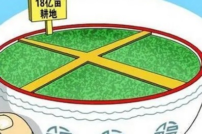 中央公开通报：“耕地占补平衡”等3起整治形式主义为基层减负典型问题