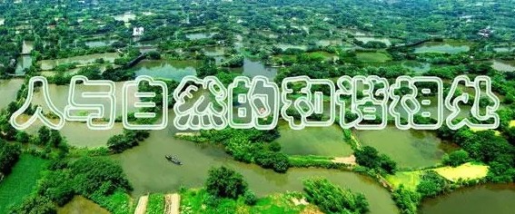 共建人与自然和谐共生美丽家园（人民日报）