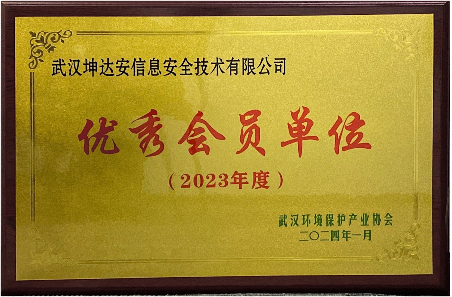 武汉环境保护产业协会优秀会员单位